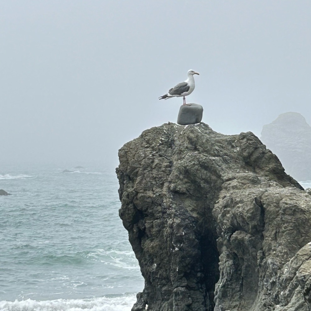 Meet your Posher, Dani